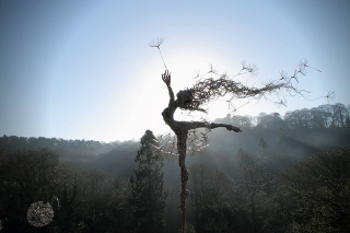 Illustration for article titled The Full Sized Wire Fairy Queen of Trentham Gardens